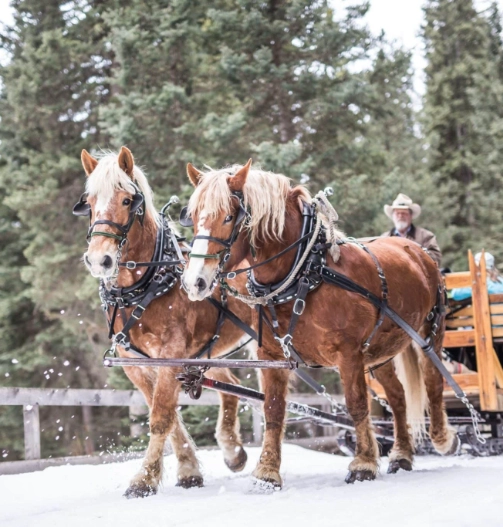 sleighride-2-scaled-1-2048x1366-s